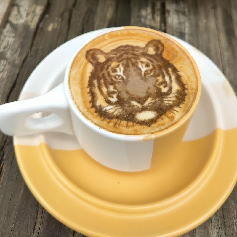 新しいトレンドの業務用レストラン・ホテル用品 コーヒー プリ - Coffee Equipment And Supplies のレビューと価格